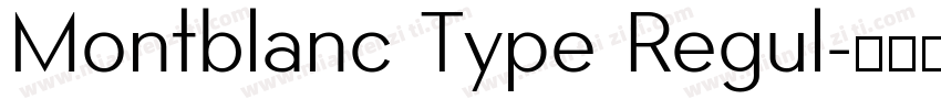 Montblanc Type Regul字体转换